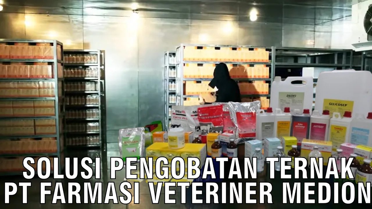 
                                 Solusi-Pengobatan-Ternak-PT-Farmasi-Veteriner-Medion